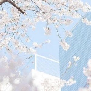 Meet your Posher, Mila